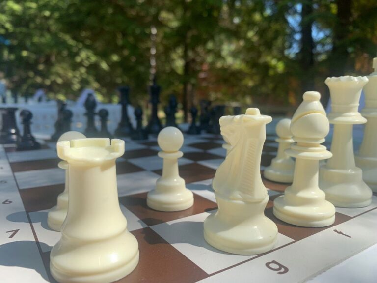 Вчера в нашей школе прошел шахматный турнир «Озорная ладья»